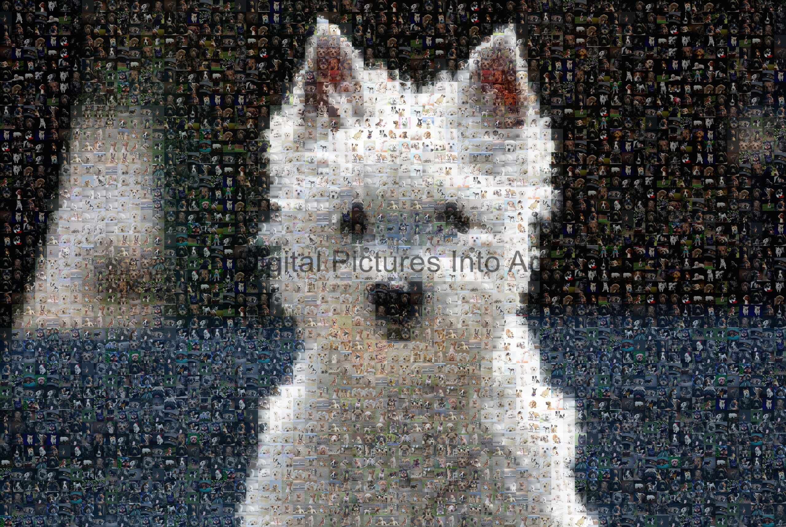 white puppy digital art